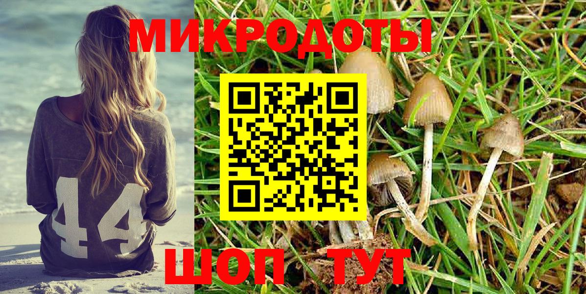 Свободный  Псилоцибиновые грибы GOLDEN TEACHER  что такое наркотик  Псилоцибиновые грибы GOLDEN TEACHER  Вход с VPN 