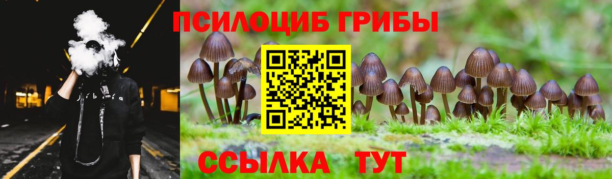 Галлюциногенные грибы Psilocybine cubensis Свободный